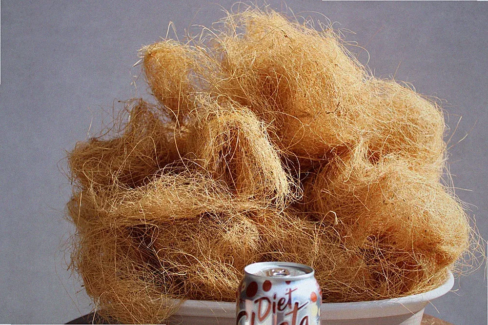 Organic coconut husk fiber: Coir for mulch, pet bedding 1/2 lb